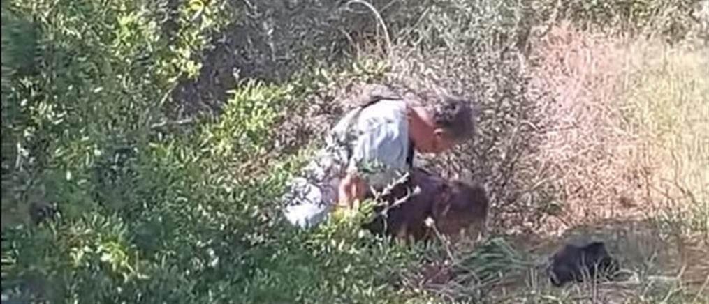 Κρήτη: “χτύπησαν” επιχείρηση ζωοτροφών με drone (βίντεο)
