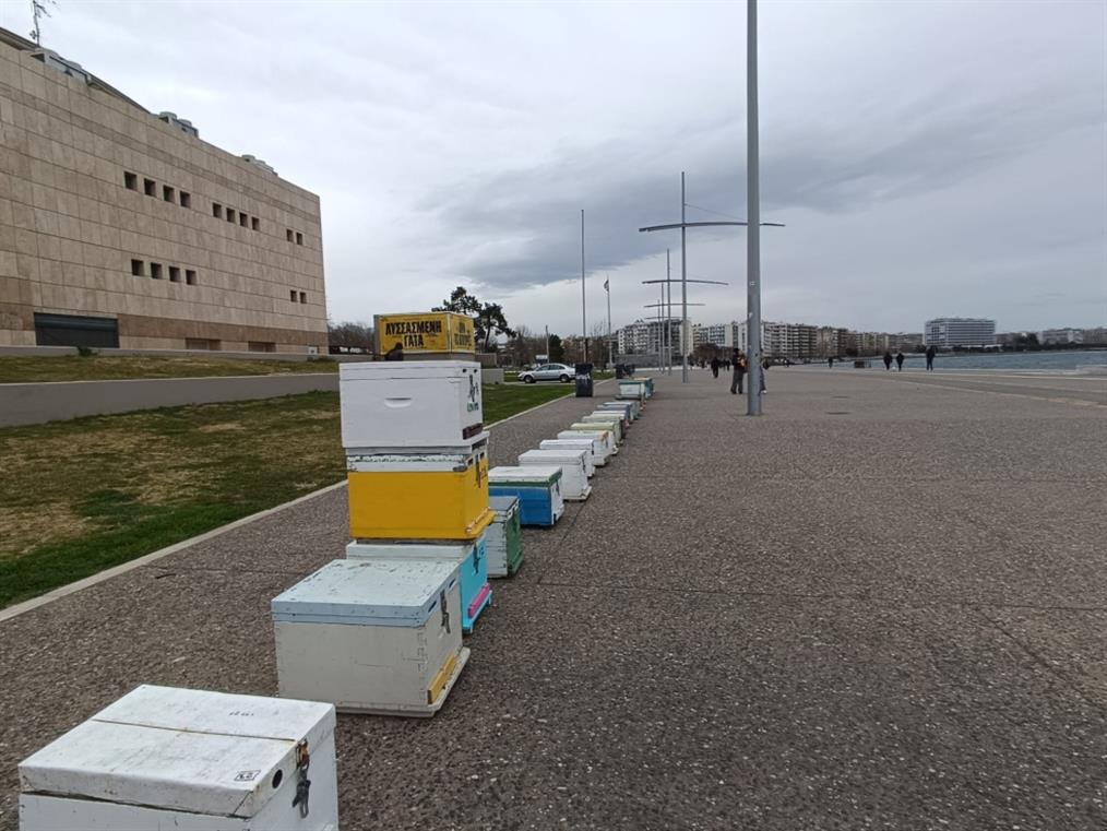 Θεσσαλονίκη: Μελισσοκόμοι έστησαν κυψέλες μπροστά στον Λευκό Πύργο