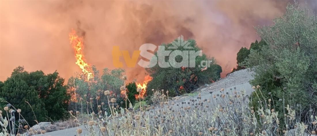 Φωτιές - Βοιωτία: Νέο μέτωπο στο Στείρι, αγωνία για το δάσος του Ελικώνα (βίντεο)