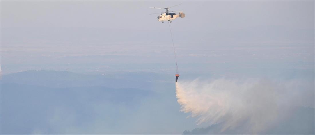 Φωτιά στον Έβρο: Μάχη με τις φλόγες για 10η ημέρα