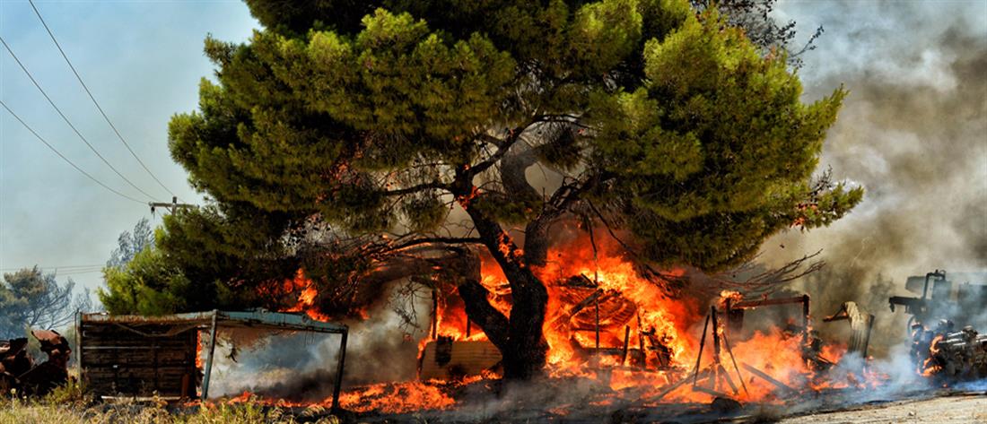 Μάχη με φωτιές στην Πελοπόννησο