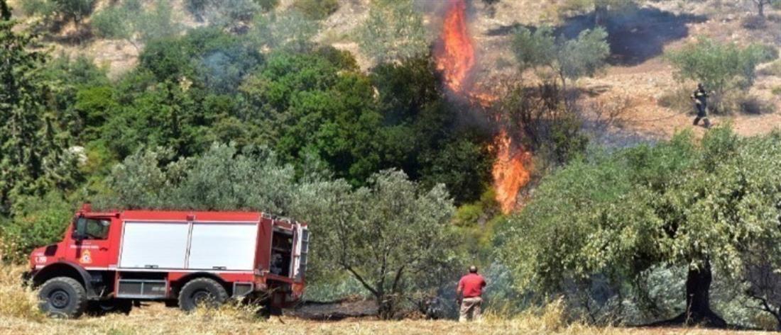 Φωτιά στην Κάρπαθο: Μάχη με τις φλόγες για δεύτερη ημέρα