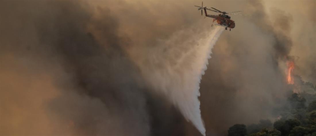 Φωτιά στον Έβρο: Μάχη με τις φλόγες για 14η ημέρα 