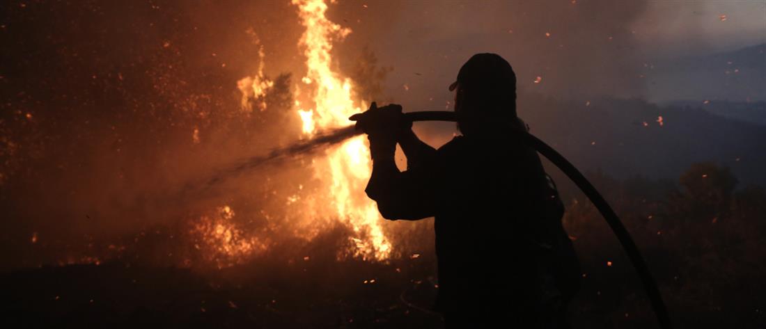 Φωτιά στην Ροδόπη: Μάχη με τις φλόγες και τους ανέμους