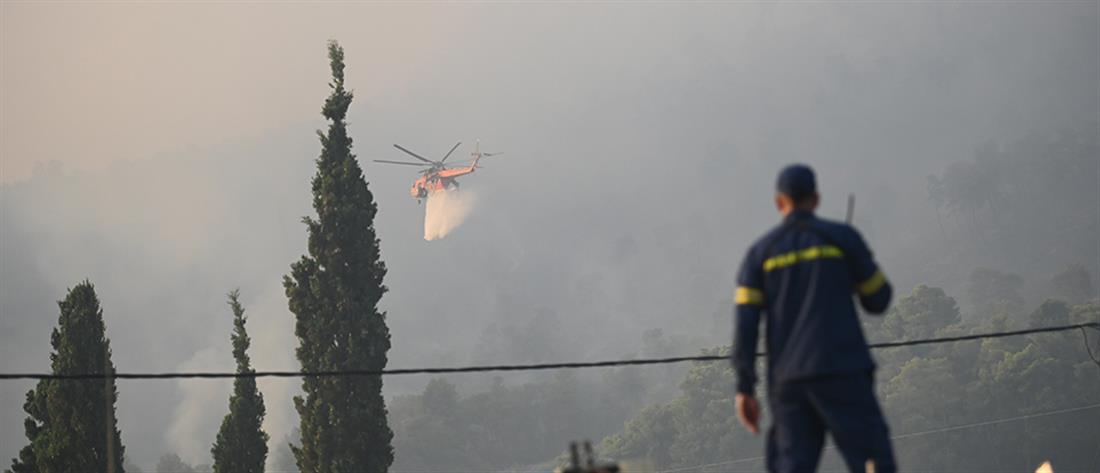 Φωτιά στο Αίγιο: Μάχη για να μη φτάσει σε κατοικημένες περιοχές (εικόνες)