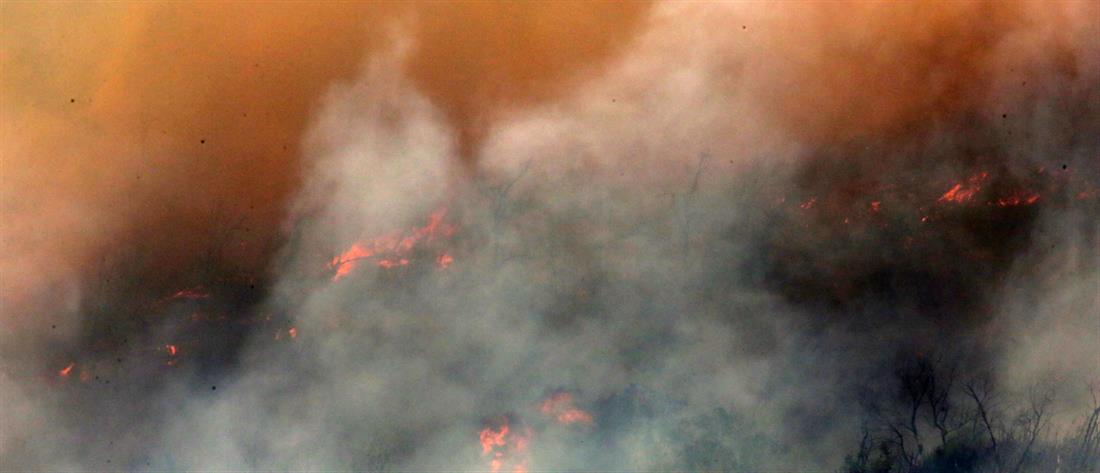 Κομισιόν: Η φωτιά στη Δαδιά είναι η μεγαλύτερη πυρκαγιά στην Ευρώπη τα τελευταία 40 χρόνια