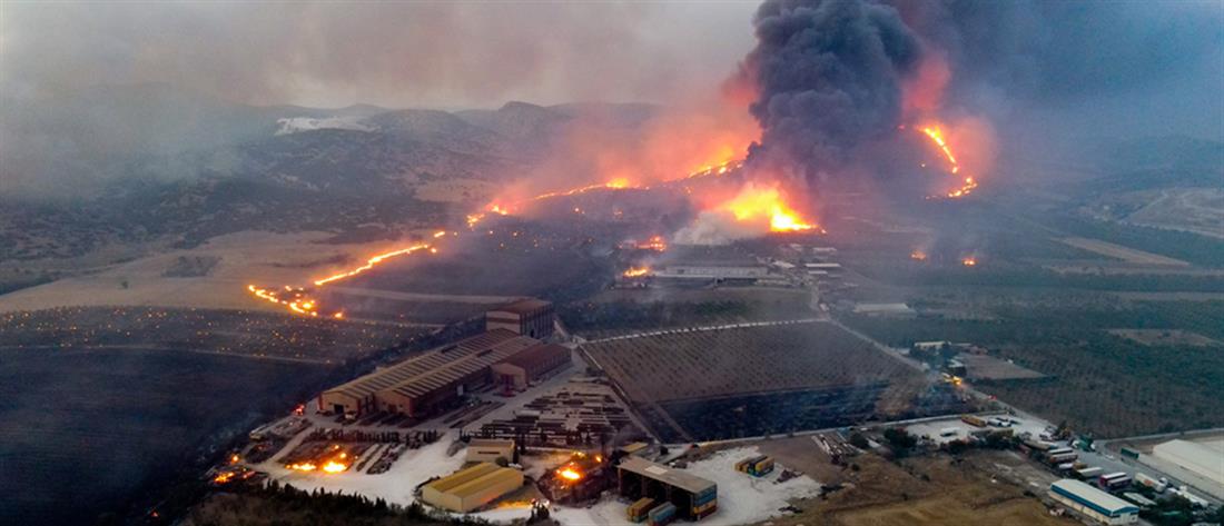 Φωτιά στη Μαγνησία: “Μείνετε 5 χιλιόμετρα μακριά”, αναφέρει σύσταση της Περιφέρειας