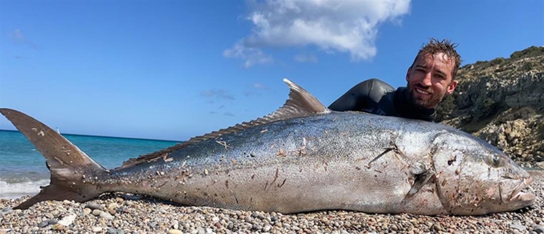 Γαύδος: Έπιασε ψάρι 60 κιλών με ψαροντούφεκο (εικόνες)