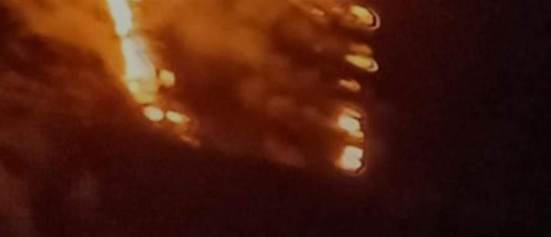 Φωτιά στην Εύβοια: Αναζωπύρωση στο χωριό Σχιζάλη (βίντεο)
