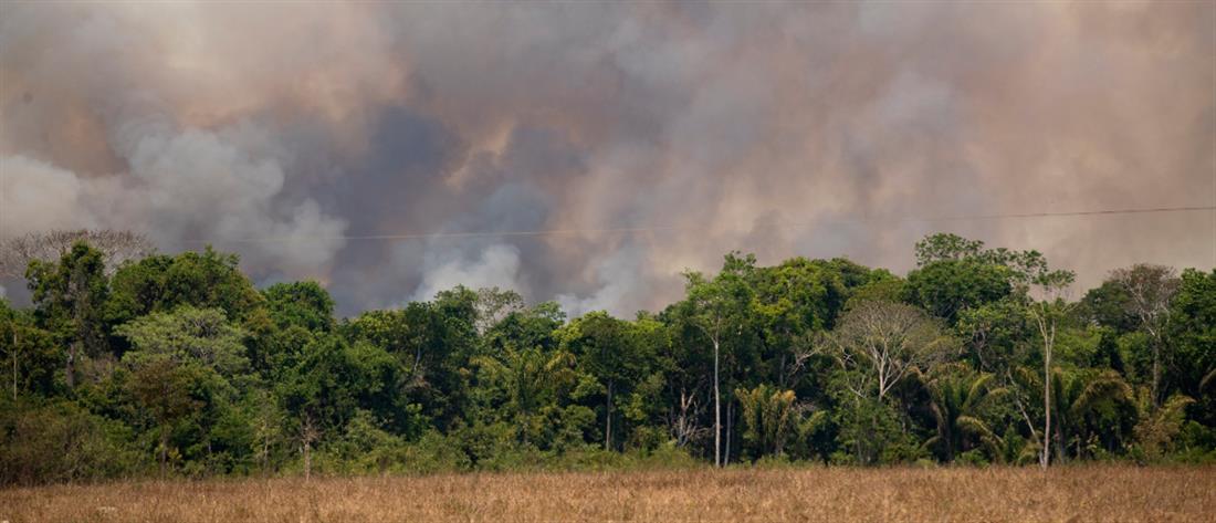 Ρεκόρ πυρκαγιών σε Αμαζόνιο και Παντανάλ