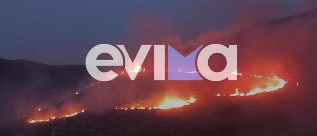Εύβοια: Φωτιά κοντά στο εργοστάσιο της ΔΕΗ (εικόνες)