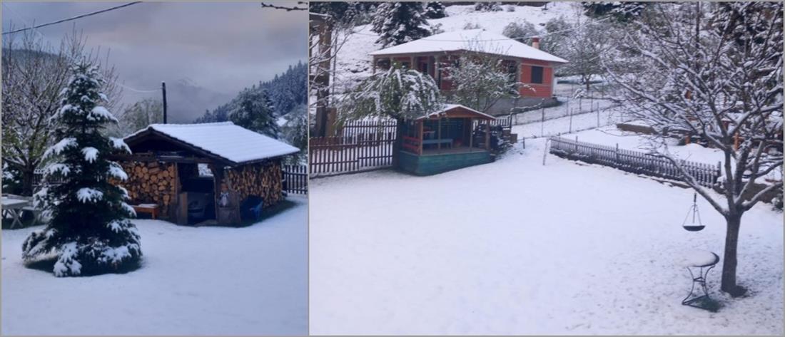 Κακοκαιρία - Τρίκαλα: Χιόνισε στο Περτούλι (εικόνες)