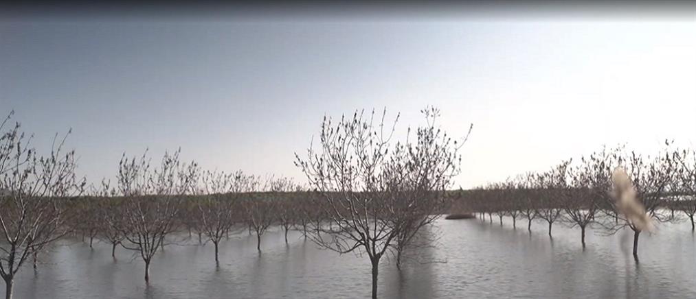 Λίμνη Κάρλα: Αυτοψία του ΑΝΤ1 στα πλημμυρισμένα χωράφια