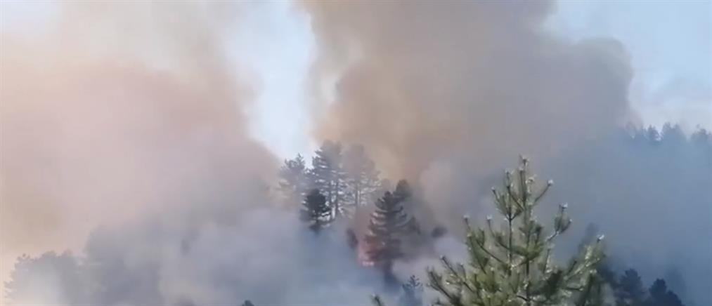Πάνω από 60 αγροτοδασκικές πυρκαγιές σε ένα 24ωρο