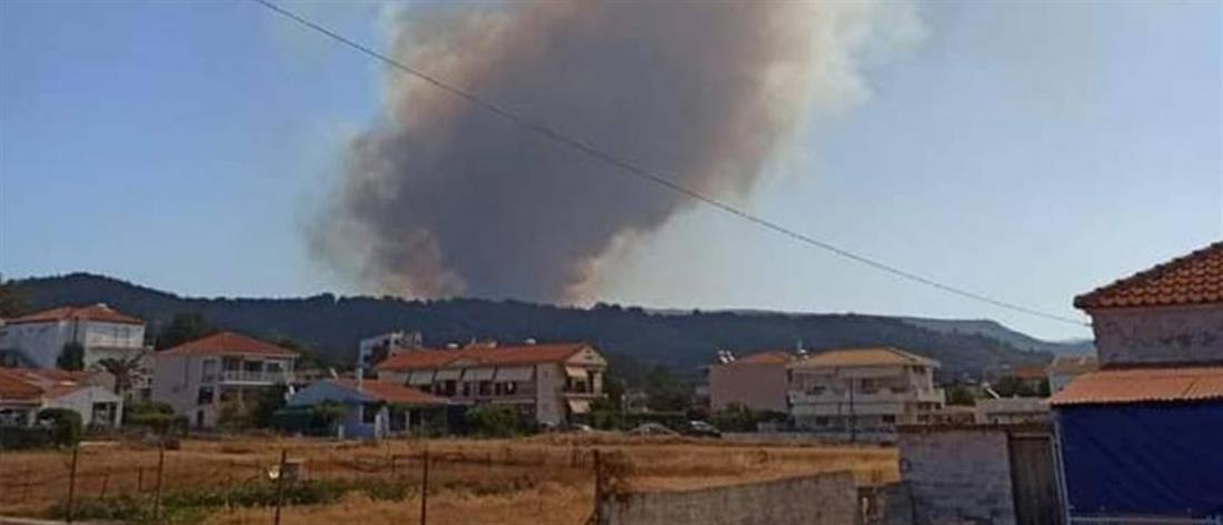 Φωτιά στην Λέσβο - Εντολή για εκκένωση οικισμού (εικόνες)
