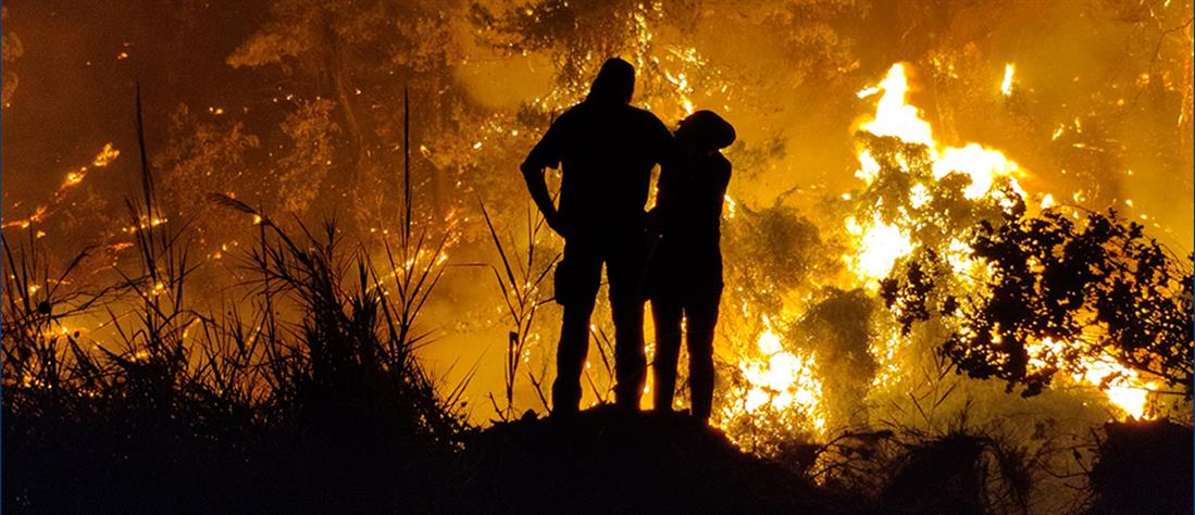 Φωτιά στην Εύβοια: κάηκε το 33% των δασών του νησιού