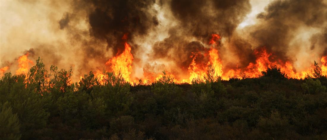 Τσίπρας για φωτιές: Υπάρχουν σοβαρότατες ευθύνες γι' αυτό που ζούμε