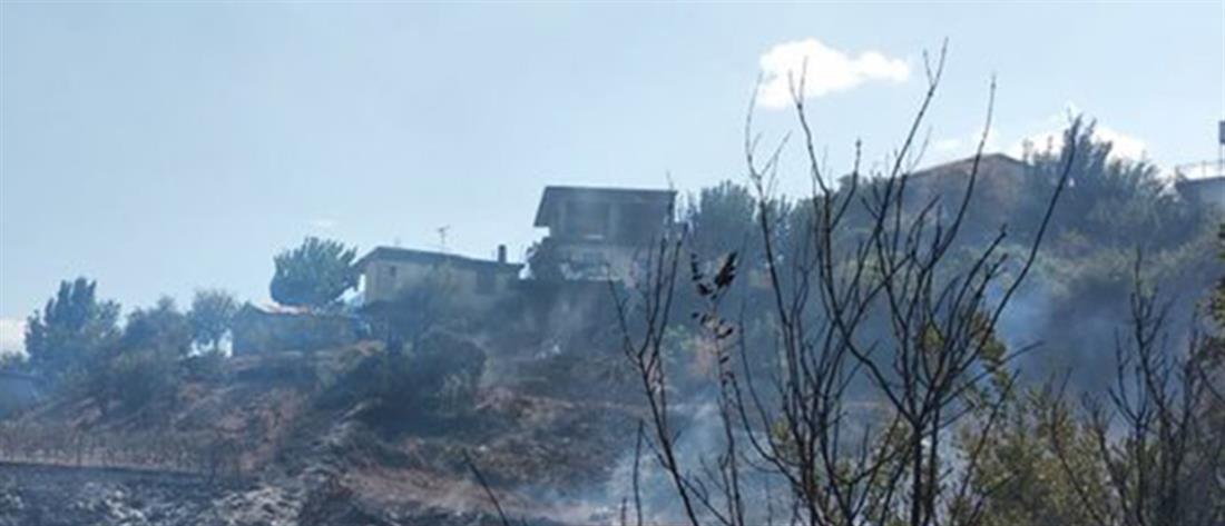 Νεκρός σε δασική πυρκαγιά στην Ανδρίτσαινα