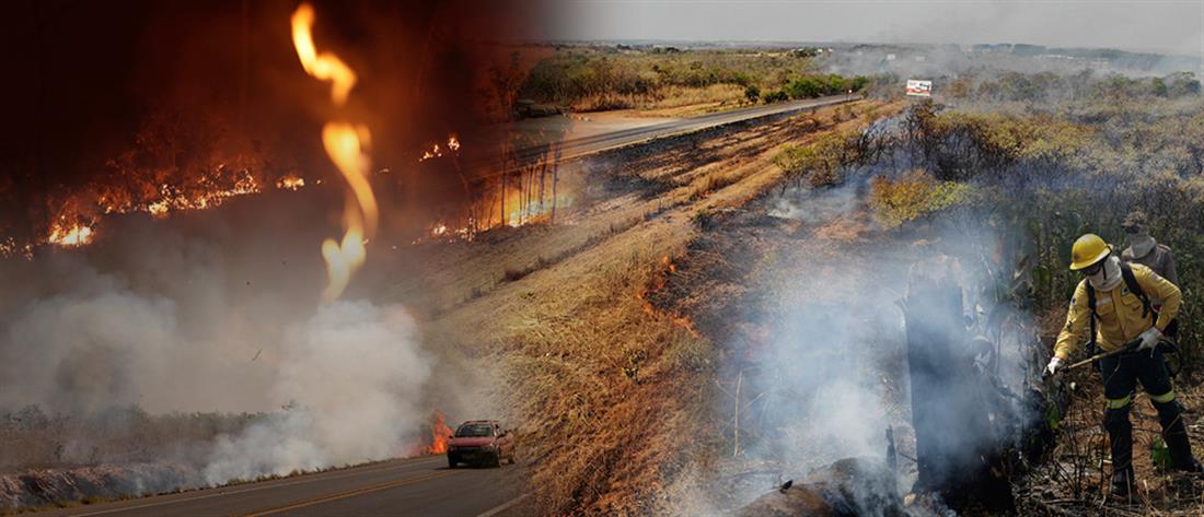 Αμαζόνιος: διεθνής κατακραυγή και χιλιάδες νέες φωτιές (εικόνες)