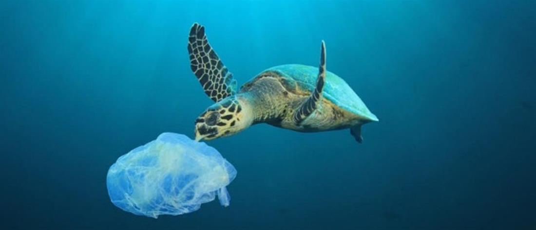 Πλαστική σακούλα: Μειώθηκε η ποσότητα, αλλά όχι η εξάρτηση