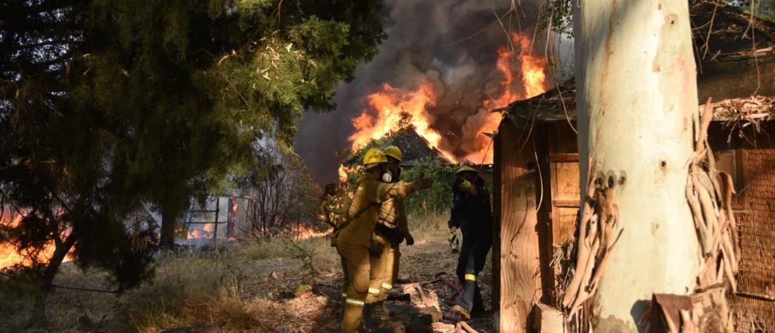 Φωτιά στην Αχαΐα - Πρόεδρος ΔΣ Αιγιαλείας: Κάηκαν πάνω από 20 σπίτια