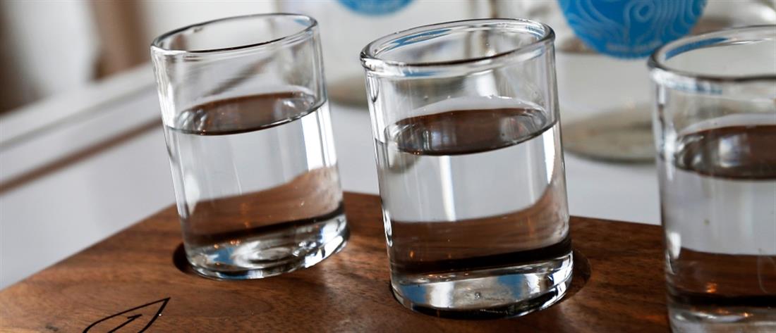 Πέντε συνταγές για Detox Water… προκειμένου να χάσεις εύκολα κιλά