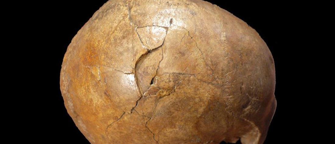 Ελληνίδες ερευνήτριες αποκάλυψαν φόνο…  33.000 ετών (εικόνες)