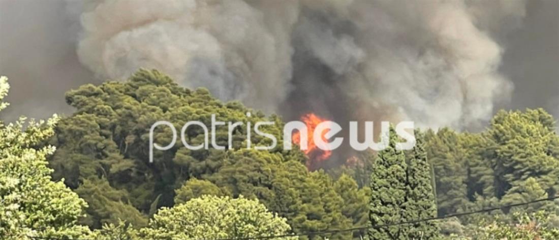 Ανεξέλεγκτη η φωτιά στα Κρέστενα - Απειλείται το διυλιστήριο (εικόνες)