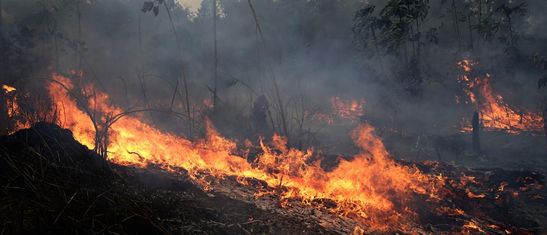 Οι φλόγες συνεχίζουν το καταστροφικό τους έργο στον Αμαζόνιο (βίντεο)