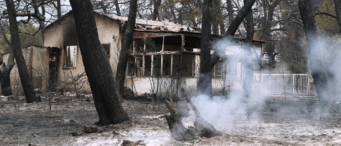 Φωτιές - Σταϊκούρας: Παρεμβάσεις υπέρ των πυροπλήκτων