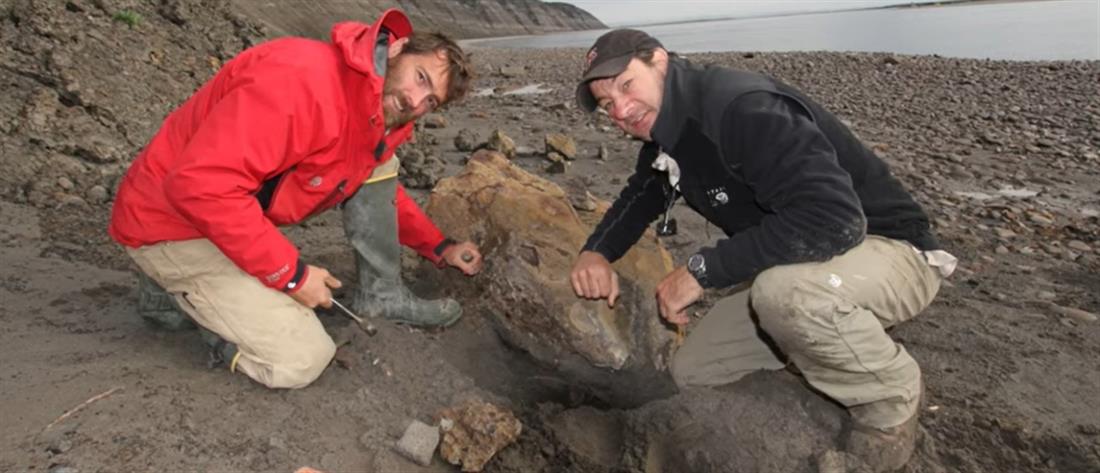Αρκτική: μαιευτήριο δεινοσαύρων ανακάλυψαν οι επιστήμονες (βίντεο)