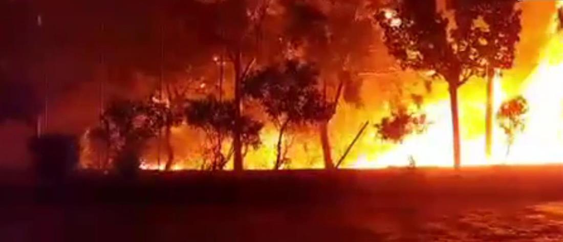 Φωτιά στην Ανατολική Μάνη: σε ορεινή και δύσβατη περιοχή το μέτωπο της φωτιάς