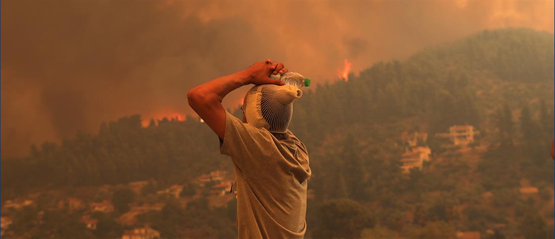 Φωτιά στην Εύβοια: εκτός ελέγχου τα πύρινα μέτωπα (εικόνες)