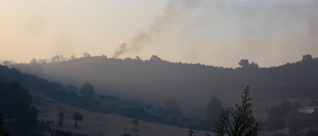 Πυρκαγιά στην Εύβοια: Αναζωπύρωση στο Μακρυμάλλη