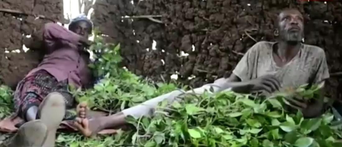 Τι είναι το ναρκωτικό Khat που εντοπίστηκε στο “Ελευθέριος Βενιζέλος” (βίντεο)