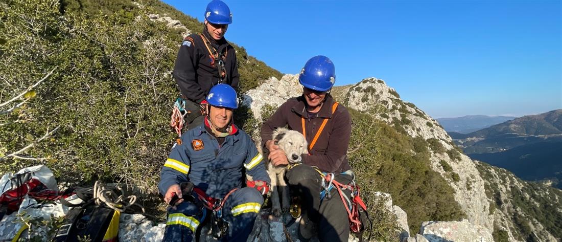 Φιλιάτες – ΕΜΑΚ: Διάσωση σκύλου από σπηλιά σε 100 μέτρα ύψος (βίντεο)