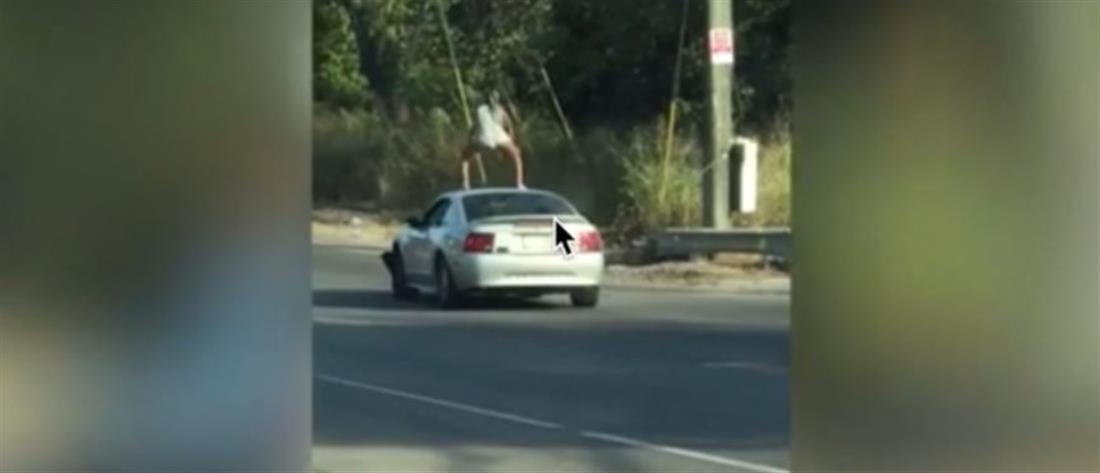 Νεαρή κάνει twerking σε οροφή αυτοκινήτου... εν κινήσει! (βίντεο)