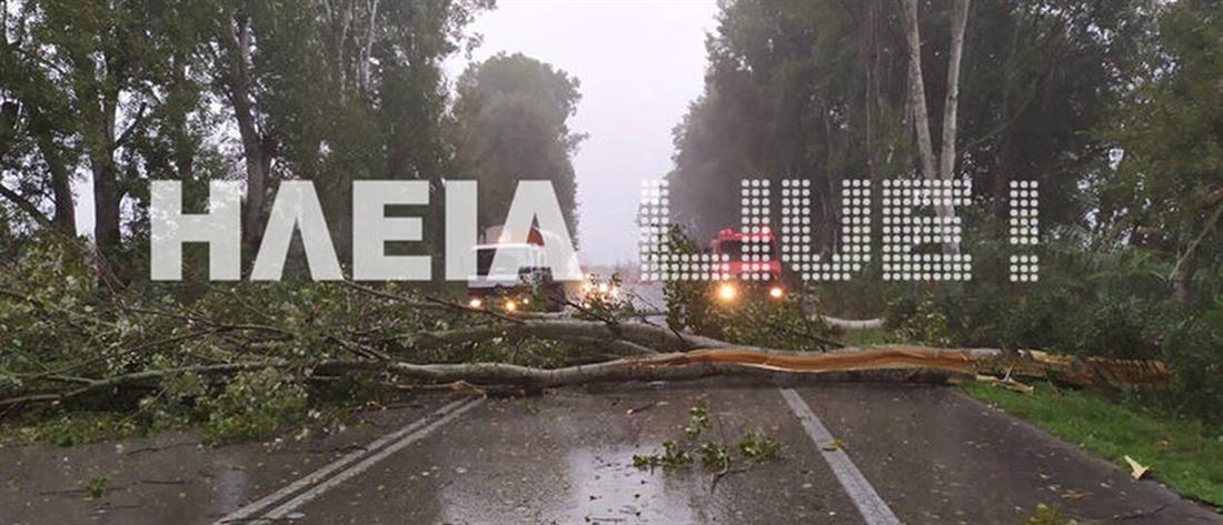 Κακοκαιρία: Έκλεισε η Εθνική Οδός από πτώση δέντρων (εικόνες)