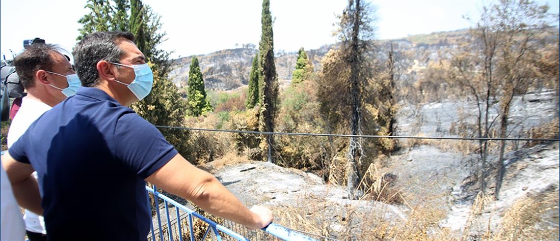 Τσίπρας από Ηλεία: Ο κ. Μητσοτάκης δεν έχει αντιληφθεί το μέγεθος της καταστροφής