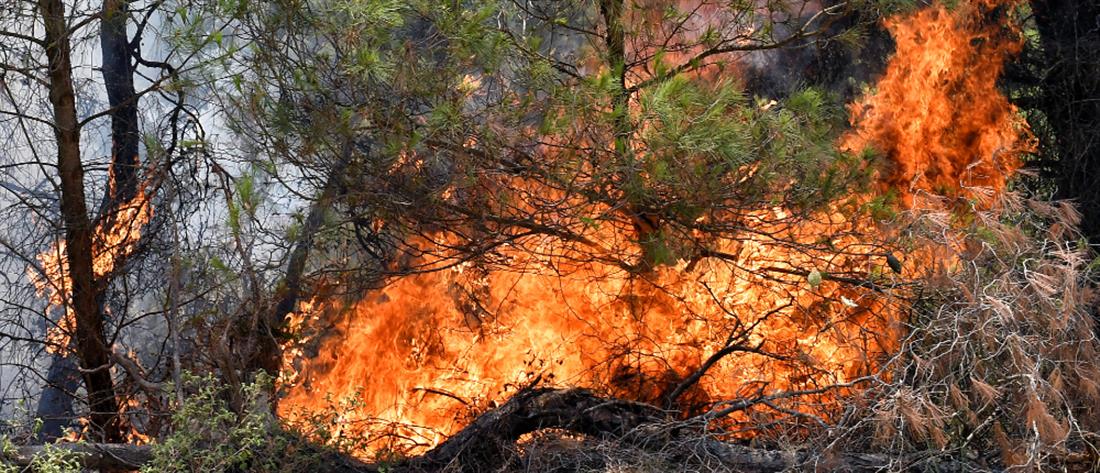 Φωτιές: Πολύ υψηλός κίνδυνος τη Δευτέρα σε 4 Περιφέρειες της χώρας