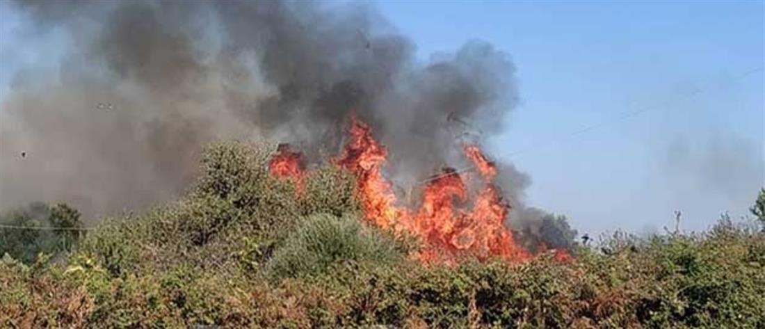 Πυρκαγιά στην Νικόπολη (εικόνες)