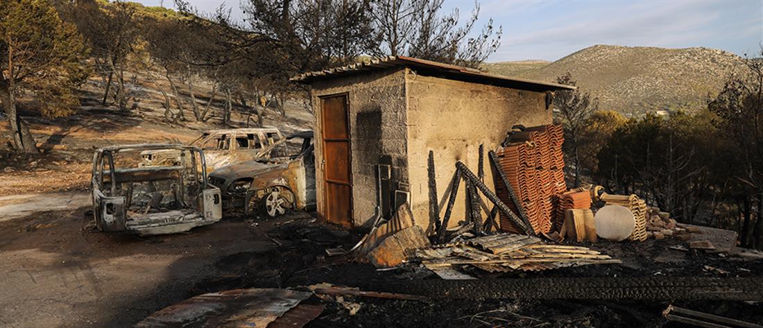 Φωτιά στη Νέα Μάκρη: Κάηκαν σπίτια - Σε ύφεση το πύρινο μέτωπο (βίντεο)