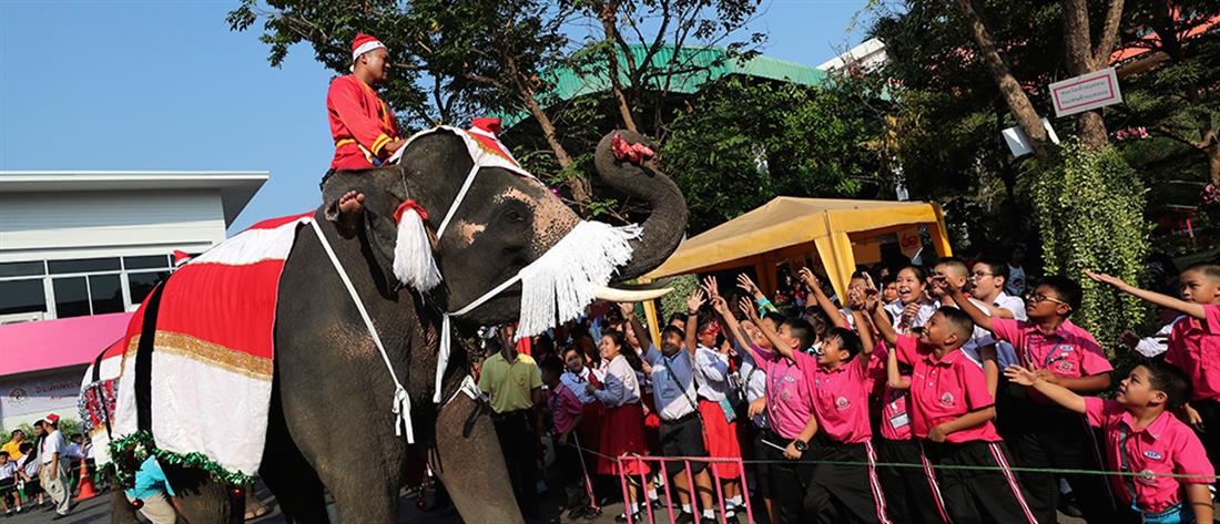 Ελέφαντες - "Αγιοβασίληδες"  μοιράζουν χριστουγεννιάτικα δώρα σε μαθητές	