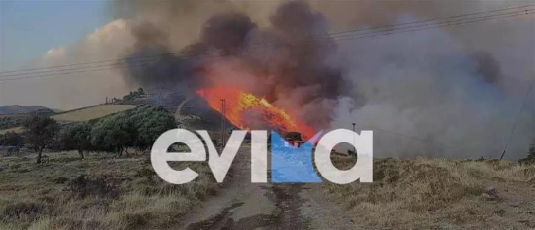 Φωτιά στην Κάρυστο: Μάχη με τις αναζωπυρώσεις 