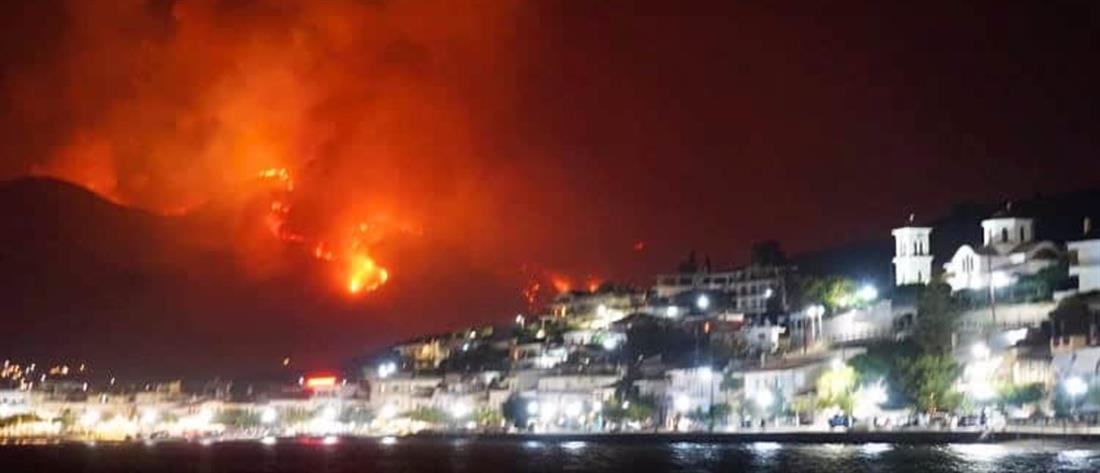 Φωτιά στην Φωκίδα: Δραματική έκκληση από τον Δήμαρχο