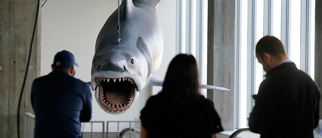 Τα “Σαγόνια του Καρχαρία” έγιναν έκθεμα στο Μουσείο των Όσκαρ (εικόνες)