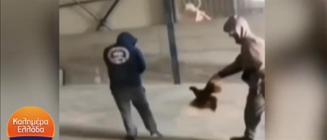 Βασανισμός ζώου: Νέο περιστατικό στην Εύβοια (βίντεο)