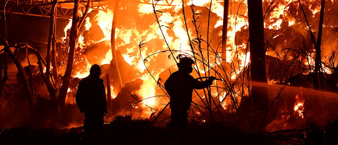 Βοιωτία: φωτιά στο Αγνάντιο