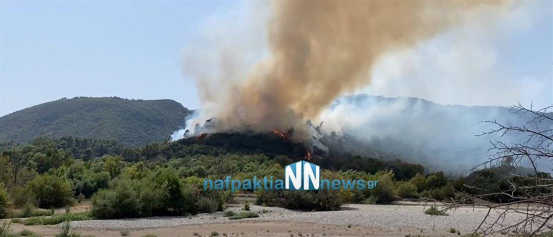 Φωτιά στο Αγρίνιο: Εκκένωση σε Παραδείσι και Περπάτη (εικόνες)