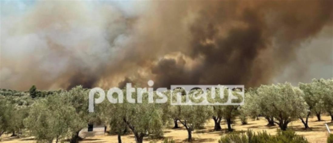 Φωτιά στην Ηλεία: Νέο πύρινο μέτωπο